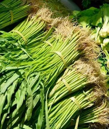 Sayur sehat, foto 2