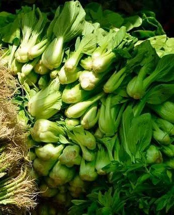 Sayur sehat